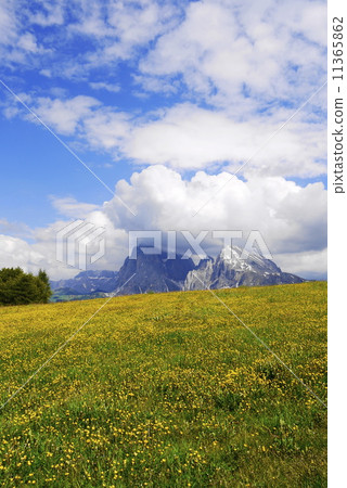 Alpe di Siusi Zaiser Alm Seiser Alm Alpe di Siusi Zaiser Alm Seiser Alm 11365862