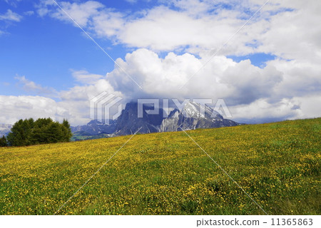 Alpe di Siusi Zaiser Alm Seiser Alm Alpe di Siusi Zaiser Alm Seiser Alm 11365863
