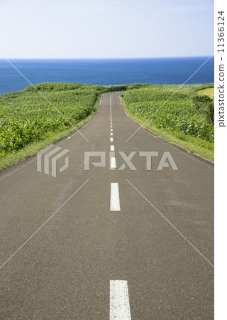 通往鄂霍次克海的路 通往鄂霍次克海的路 11366124