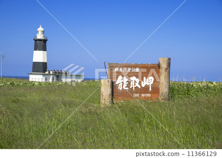 Nogi Cape燈塔 11366129