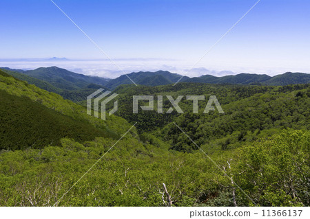 From Shiretoko Pass to Kunashirijima and the sea of clouds From Shiretoko Pass to Kunashirijima and the sea of clouds 11366137