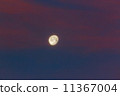 Waning moon night 11367004