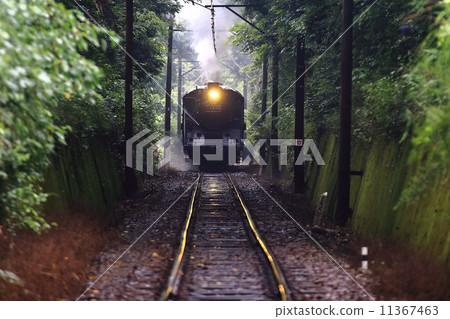 Shining rail (Oigawa Railway SL) Shining rail (Oigawa Railway SL) 11367463