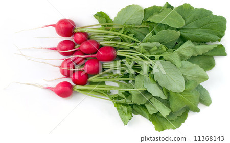 Radish 11368143