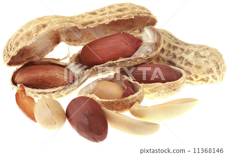 Peanuts Cutout 11368146