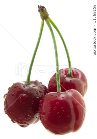 Three sweet cherry cutout 11368158