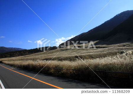 仙石原 仙石原 11368209