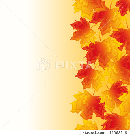 Autumn background with red and yellow maple leaves - Stock Illustration ...