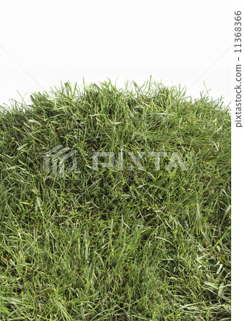 Grass Hill Cutout 11368366