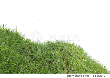 Grassy Down Hill Cutout Grassy Down Hill Cutout 11368378
