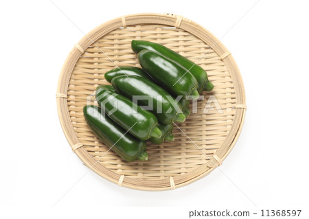 孩子們的青椒 11368597