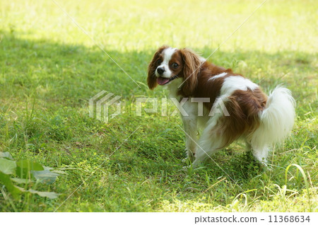 what happened? what happened? 11368634