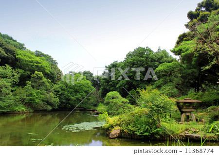 New Edogawa Park New Edogawa Park 11368774