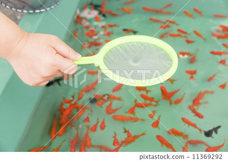 Children's wearing goldfish scooping 11369292