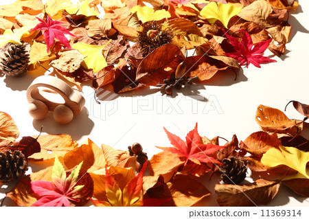  Fall Drive 2 11369314