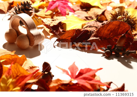  秋季驅動器2 11369315