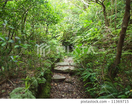 Path Path 11369715