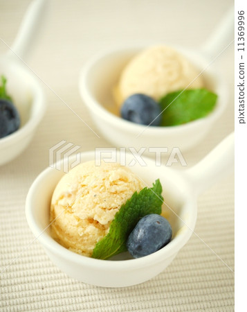 小沙漠香草冰 11369996