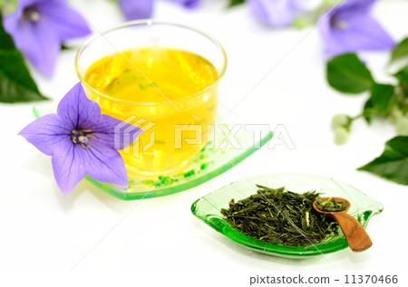 一杯茶 一杯茶 11370466