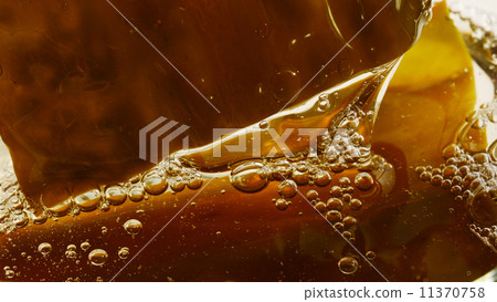 Gagome Kombu粘液成分04 Gagome Kombu粘液成分04 11370758