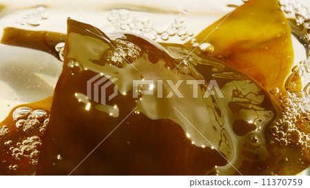 Gagome Kombu粘液成分05 11370759