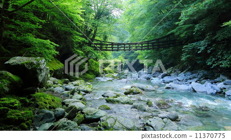 Tokushima Prefecture: Kazura Bridge in Okuya 11370775