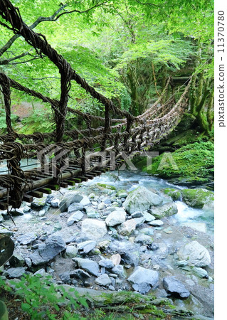 Tokushima Prefecture: Kazura Bridge in Okuya 11370780