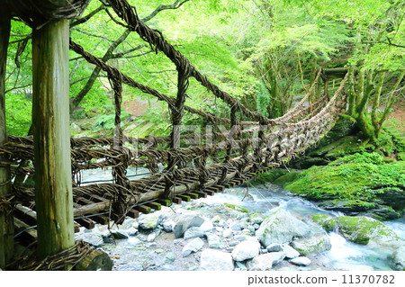 Tokushima Prefecture: Kazura Bridge in Okuya 11370782