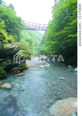 Tokushima Prefecture: Kazura Bridge in Okuya 11370800