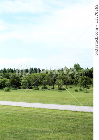 Natural landscape Sky and tree Natural landscape Sky and tree 11370865