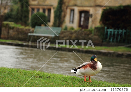 Bourton on the Water UK Bourton on the Water UK 11370876