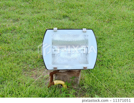 light on green grass light on green grass 11371051