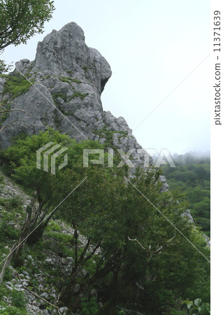 德島縣：Kenzan Osaden Shrine的Okiwa 11371639