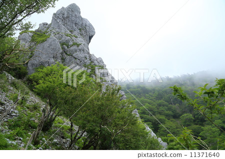 德島縣：Kenzan Osaden Shrine的Okiwa 11371640