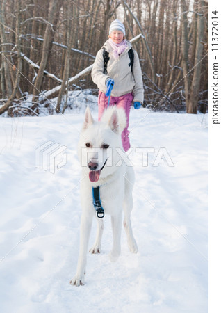 The woman with a dog in winter on walk 11372014