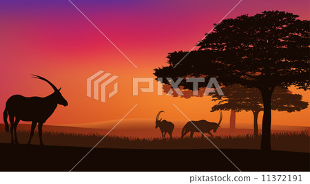 african savannah with grazing antelopes sunset landscape - wildlife scene vector african savannah with grazing antelopes sunset landscape - wildlife scene vector 11372191