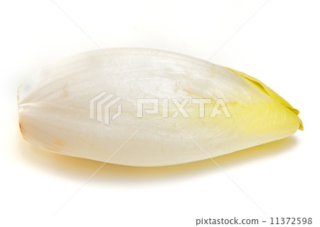 Delicious chicory 11372598