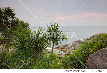 Tropical beach at sunrise, Andamandsky sea, Thailand 11372603