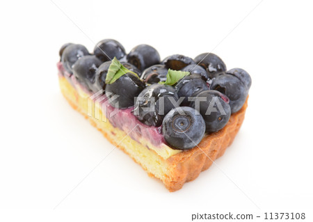 Delicious Blueberry Tart Delicious Blueberry Tart 11373108
