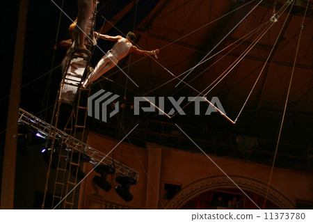 Acrobat Acrobat 11373780