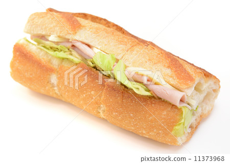 Delicious French style sandwich 11373968