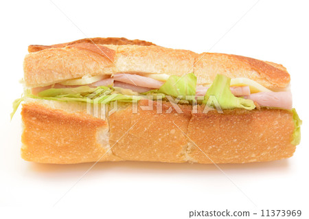 Delicious French style sandwich 11373969