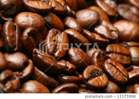 圖庫照片: coffee beans