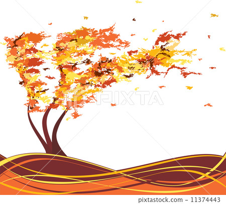 Autumn grunge tree in the wind. Vector Autumn grunge tree in the wind. Vector 11374443