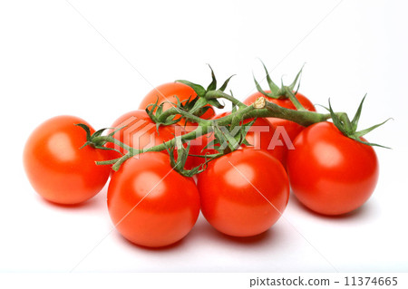 isolated tomato isolated tomato 11374665