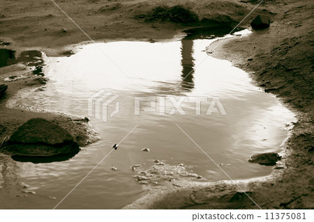 danger reflect 11375081