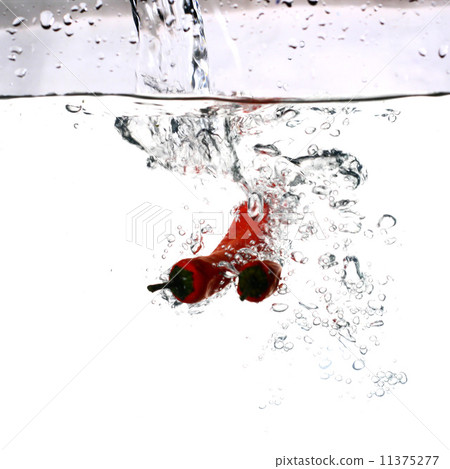 chili pepper cook 11375277