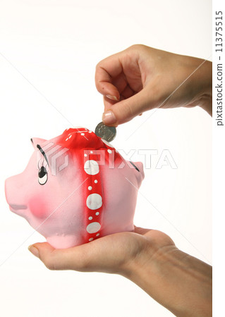save money 11375515