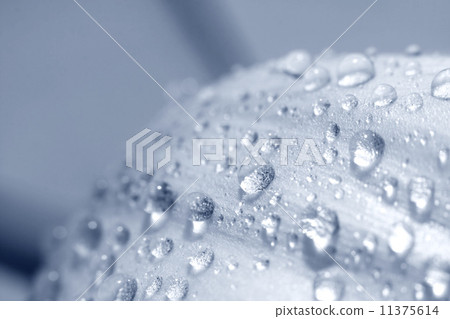 water water 11375614