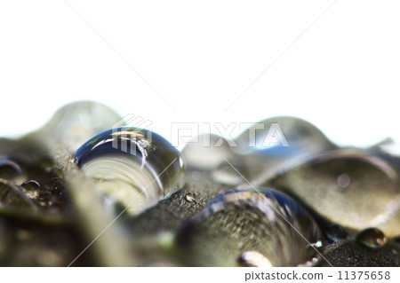 water drop macro 11375658